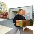 A woman carrying a fruit box